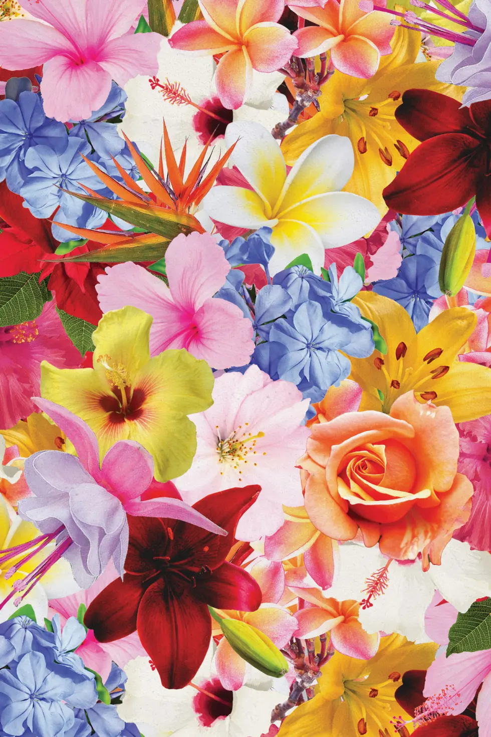 Bespoke floral album cover design pattern for "Johann Hedemann – Flora"