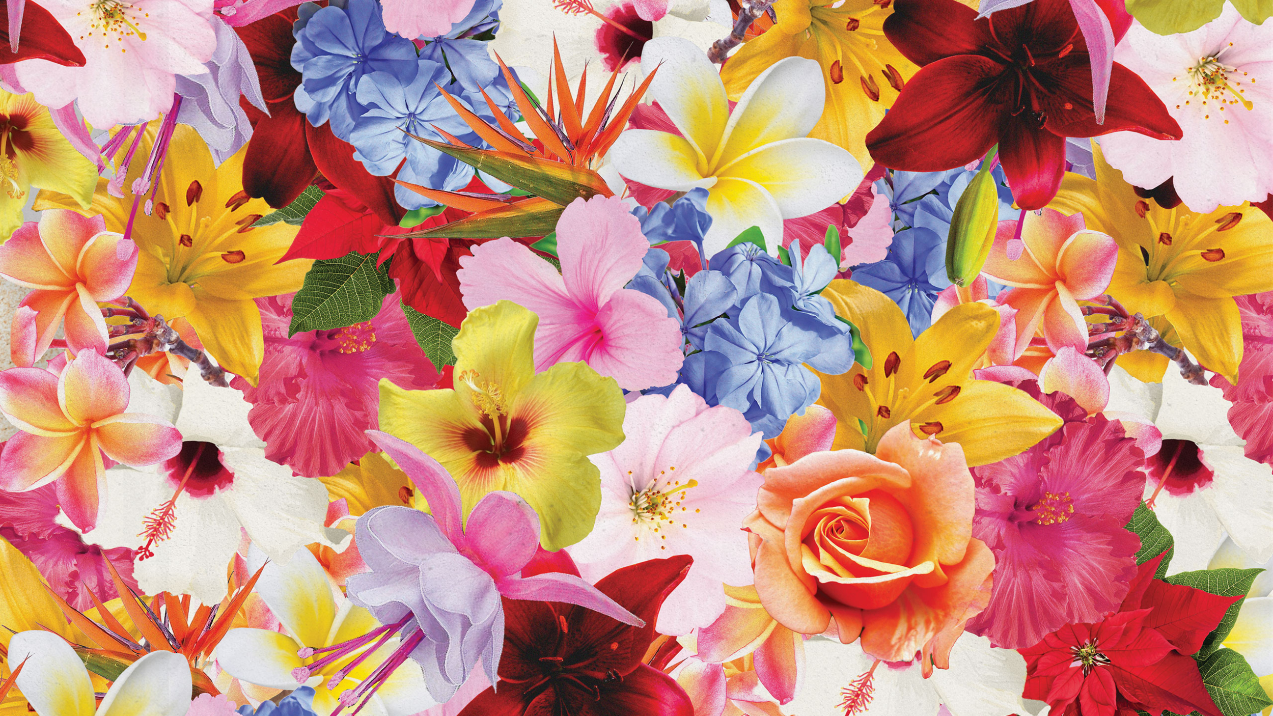 Bespoke floral album cover design pattern for "Johann Hedemann – Flora"