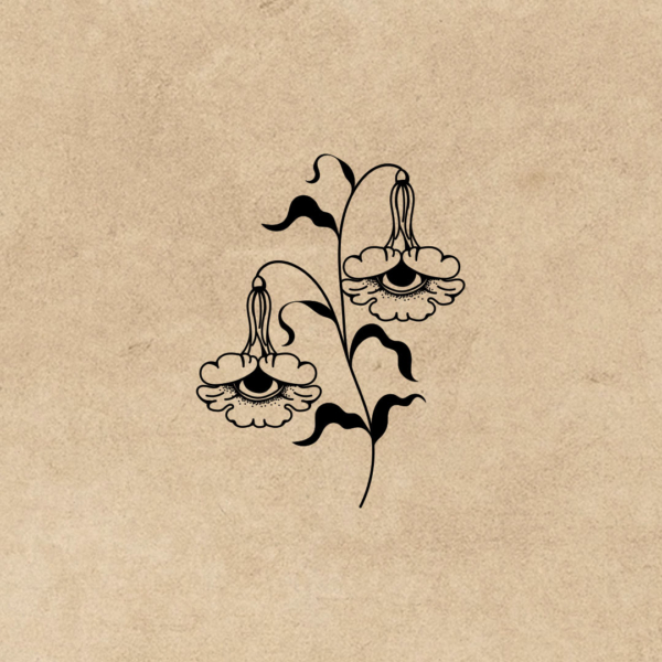 A.B. Hamilton flower character illustration