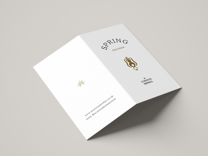 A curious herbal folded card design by another kind